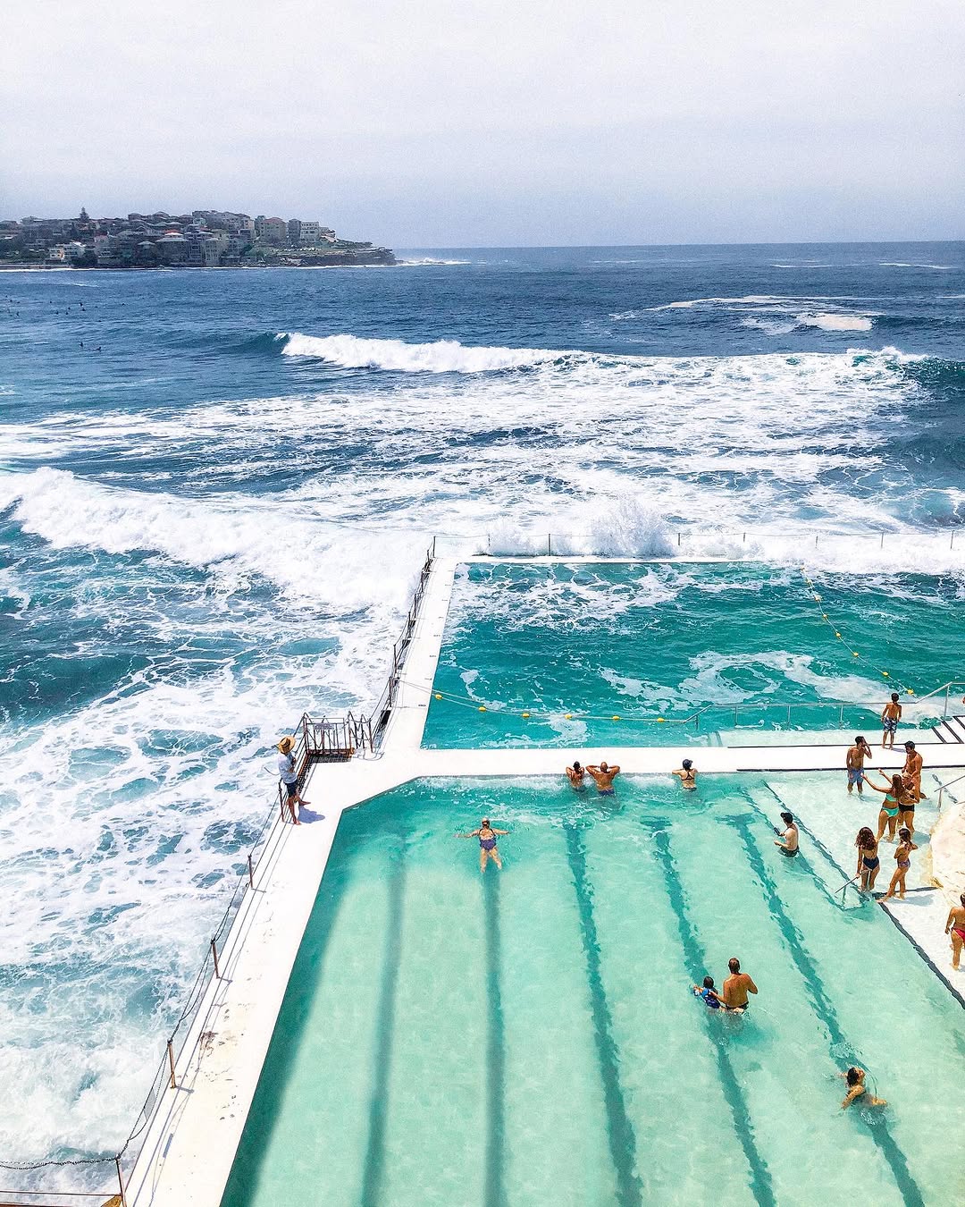 Bondi Icebergs